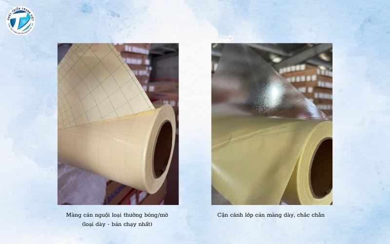 Mẫu sản phẩm màng cán nguội loại thường hiệu ứng bóng/mờ